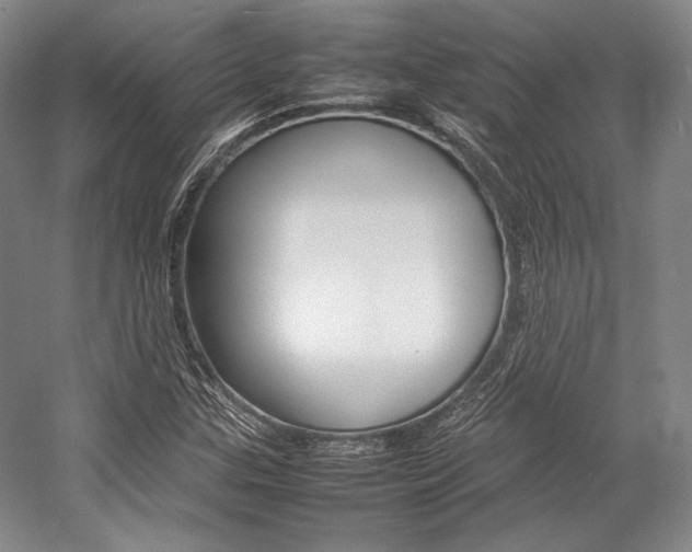 X0000057081307200509090902