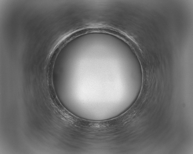 X0000057081311200509090902