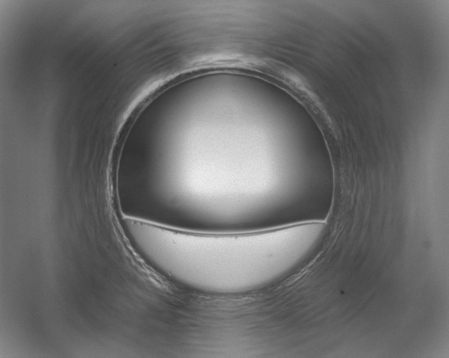 X0000057081328200509090902