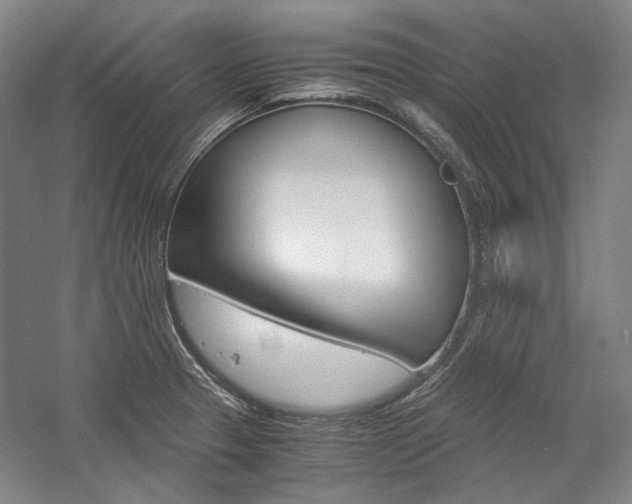 X0000057081329200509090902