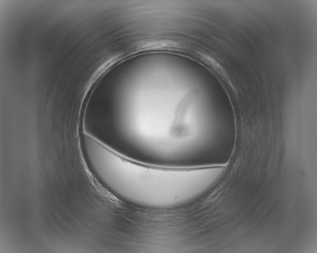 X0000057081330200509090902