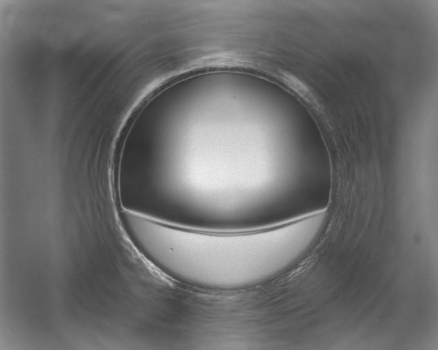 X0000057081334200509090903