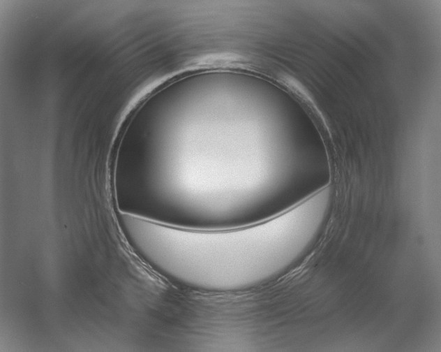 X0000057081336200509090903