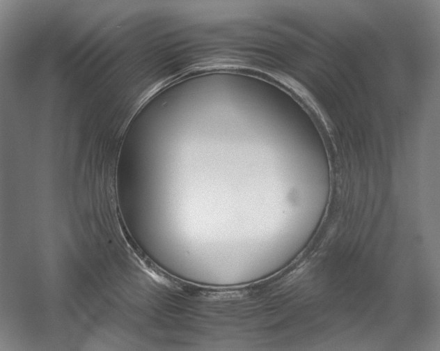 X0000057081337200509090903