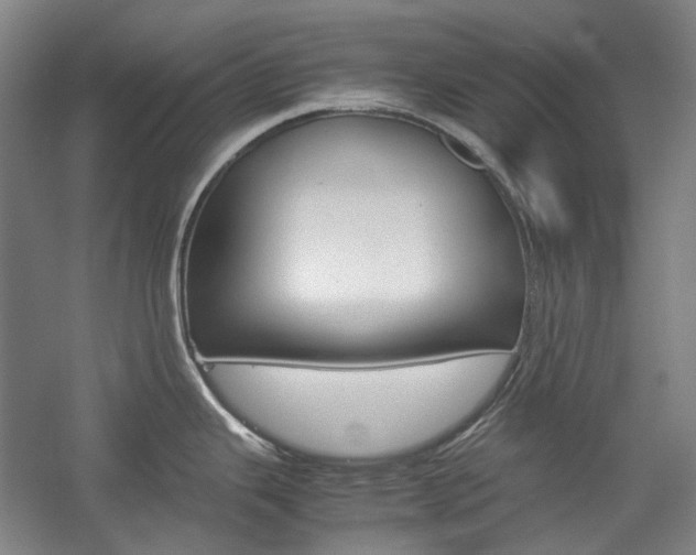 X0000057081343200509090903