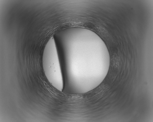 X0000057081346200509090902