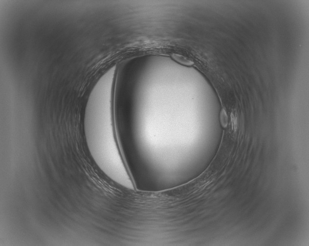 X0000057081348200509090902