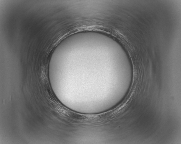 X0000057081353200509090902
