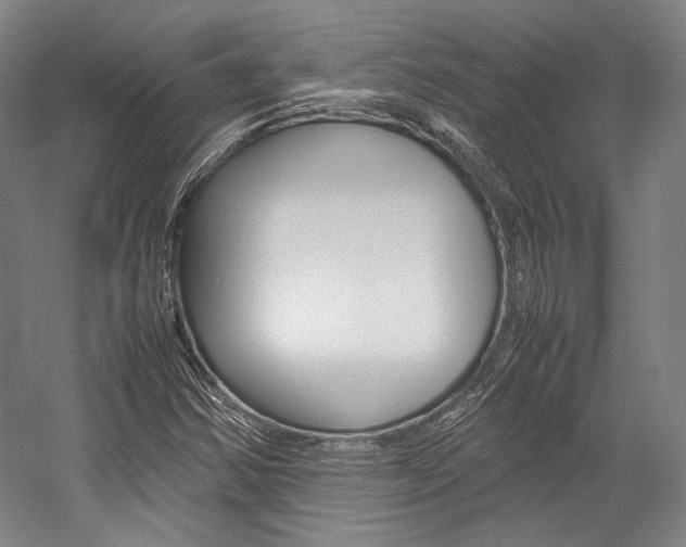 X0000057081354200509090902