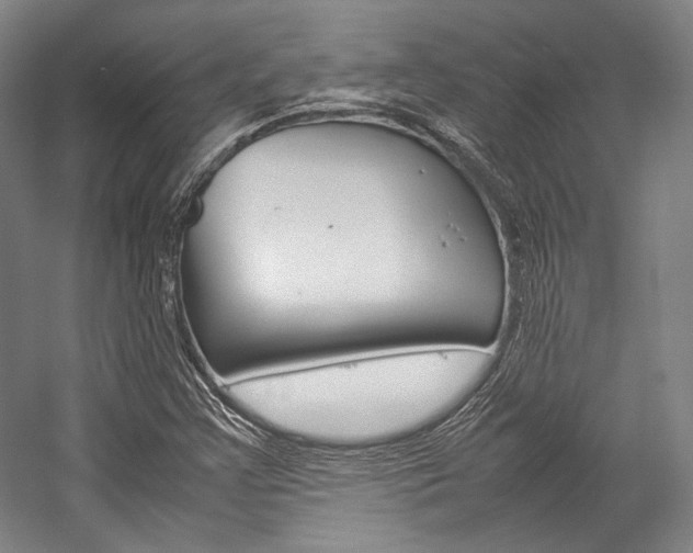 X0000057081355200509090902