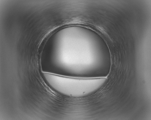 X0000057081356200509090902