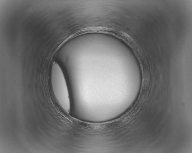 X0000057081361200509090902