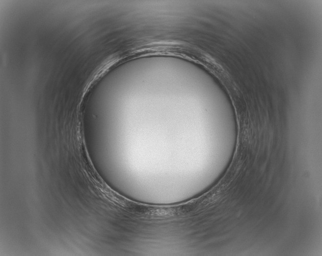 X0000057081362200509090902