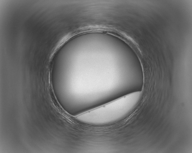 X0000057081365200509090902