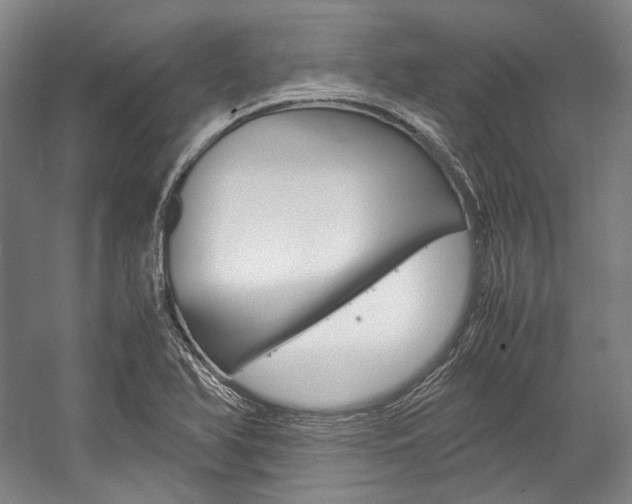 X0000057081366200509090902