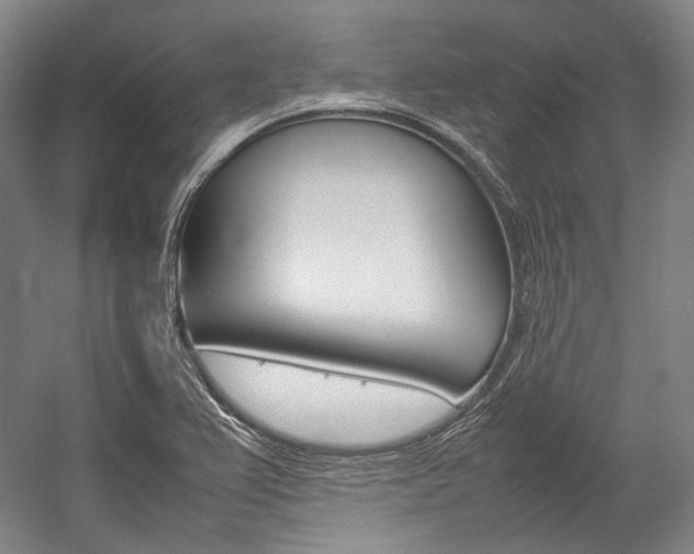 X0000057081367200509090901