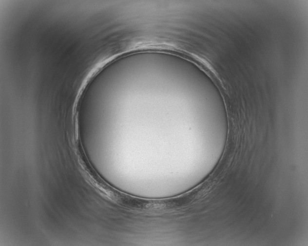 X0000057081371200509090901