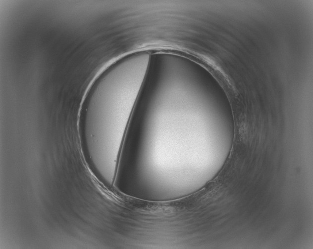 X0000057081372200509090901