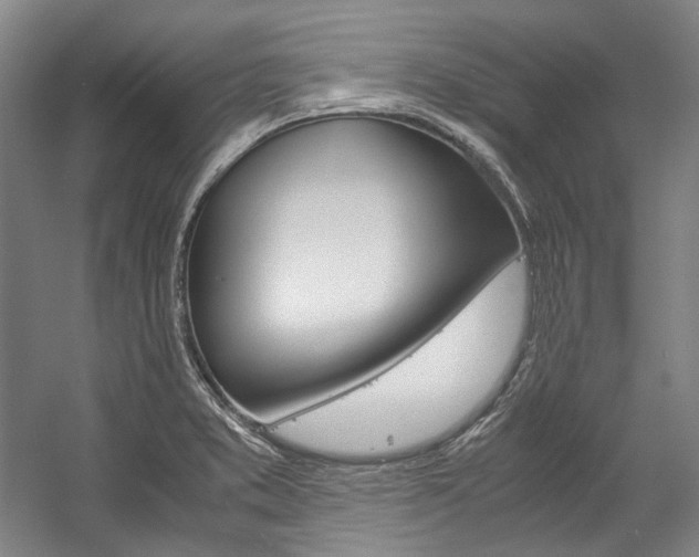 X0000057081373200509090901