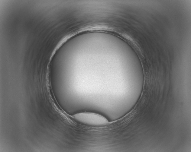 X0000057081374200509090901