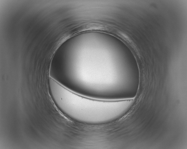 X0000057081377200509090901
