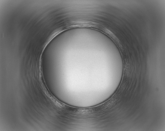 X0000057081378200509090901