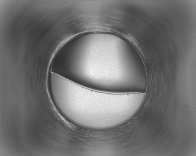 X0000057081379200509090901