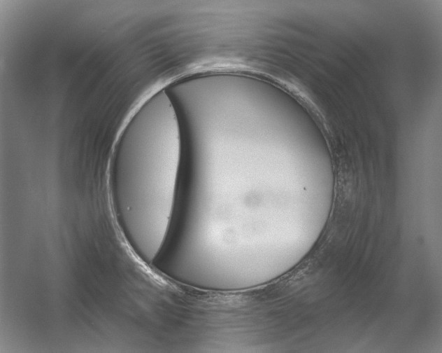 X0000057081382200509090901
