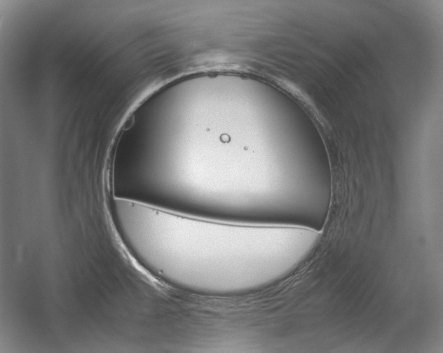 X0000057081383200509090901