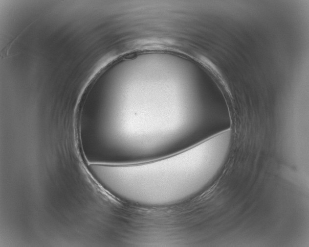 X0000057081384200509090901