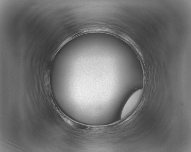 X0000057081385200509090901