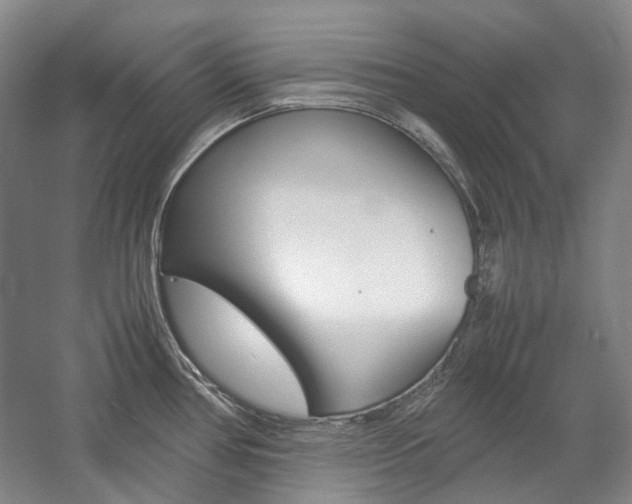 X0000057081386200509090901