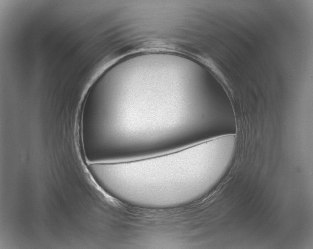 X0000057081387200509090901