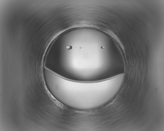 X0000057081388200509090901