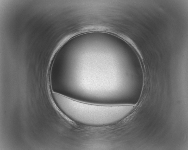 X0000057081389200509090901