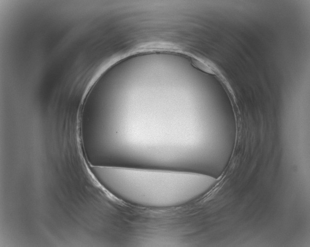 X0000057081390200509090901