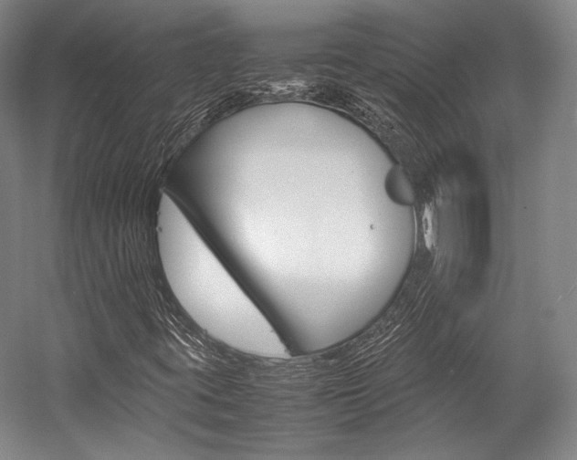 X0000057081395200509090900