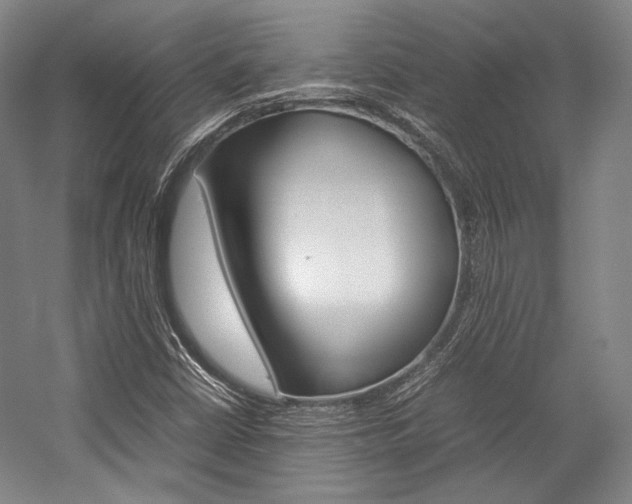 X0000057081402200509090900