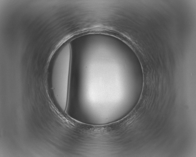X0000057081410200509090901