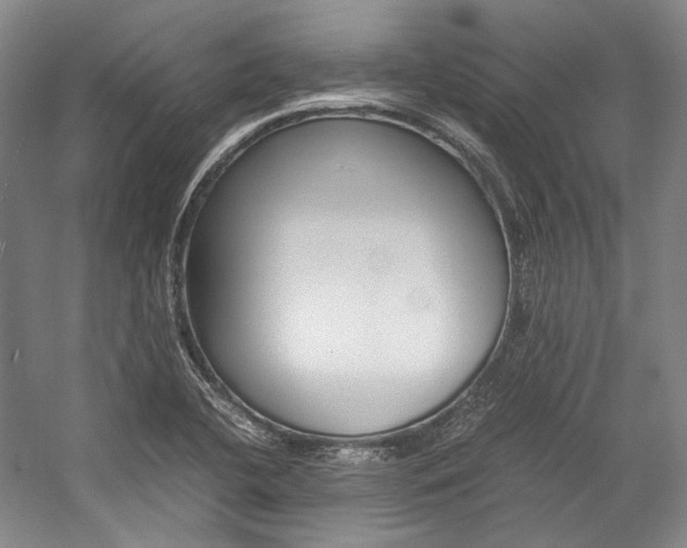 X0000057081412200509090901