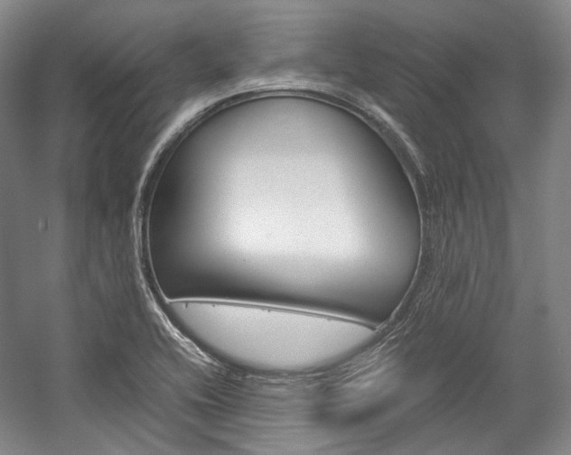 X0000057081416200509090901