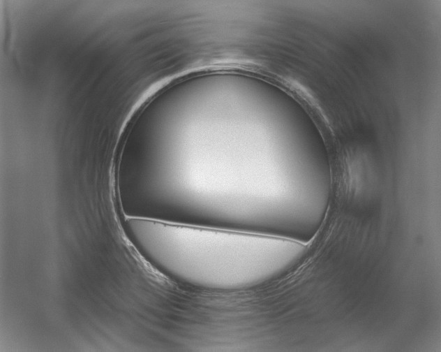 X0000057081420200509090901