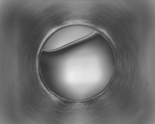 X0000057081424200509090901