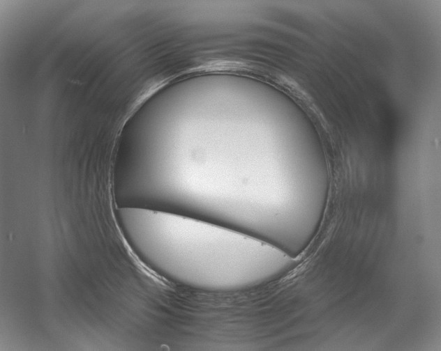 X0000057081425200509090901