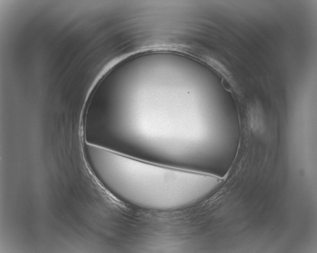 X0000057081428200509090901