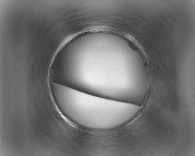 X0000057081429200509090901