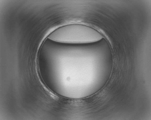 X0000057081432200509090901