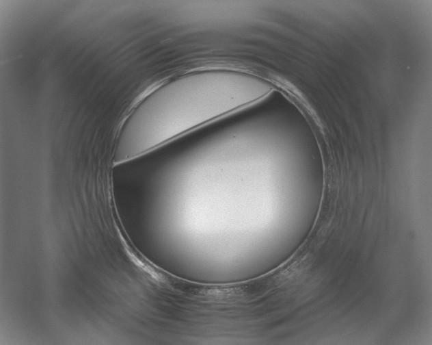 X0000057081433200509090901