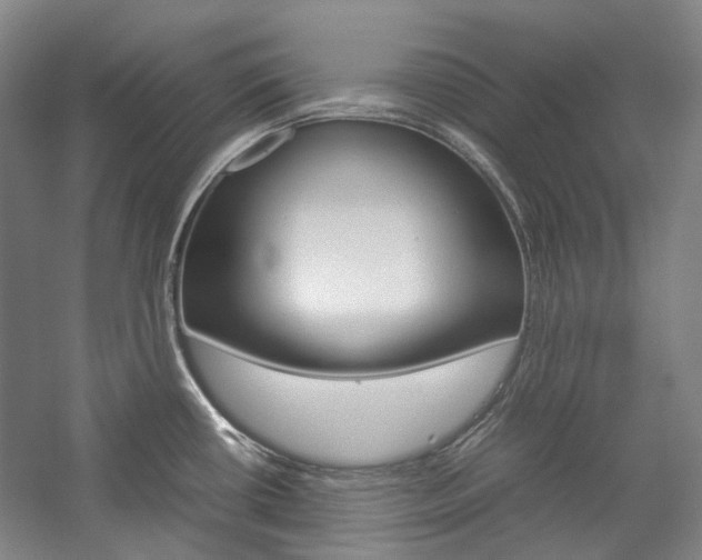 X0000057081434200509090901