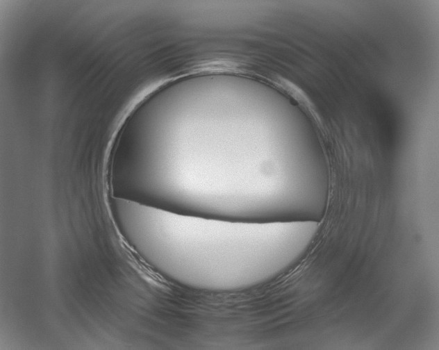 X0000057081435200509090901